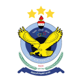 تشكيلة القوة الجوية